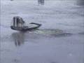 videos de RC Airboat nitro race