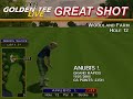 Golden Tee Great Shot on Woodland Farm!