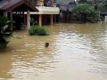 Click here to watch this video MVI_gangmufakat1bpn.MOV