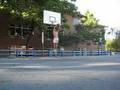 Summer Dunks 2008 2