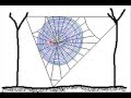Why Spiders Don't Stick to Their Webs