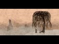 M. Ward Chinese Translation