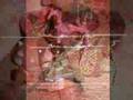 C@S@#03-ROSACUBO