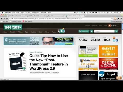 how to update jquery in wordpress