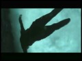 Twilight ! New Moon neuer Trailer fanmade Down Below Wildes Herz