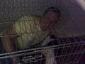 andy in dog house