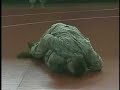 The Army hones their skills with hand-to-hand combat trainin