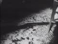 The Night of the Living Dead (music by 'The Destoyers')