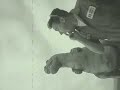 Dinosaur ATTACK!