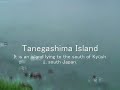 Great Tanegashima Knife
