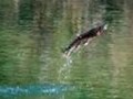 Trout Fishing Tips .