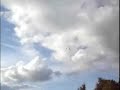 RC Airplane Crashes Into Kid RC Airplane Crashes Into Kid