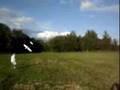 RC-Airplane-Crashes-