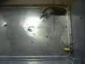Gottesanbeterin Jagt / Fängt / Frisst Spinne Part:1