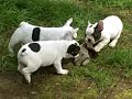 Outside Fun !! Outside Fun !!