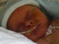 Kaiden- week two