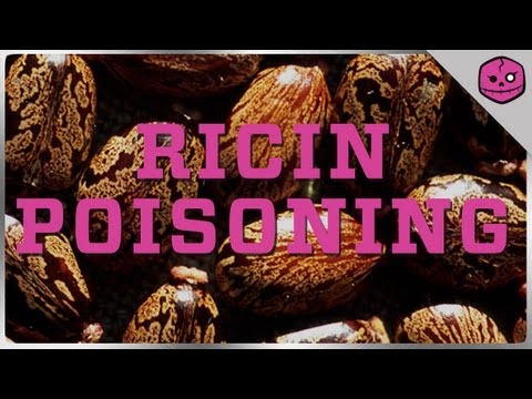 how to obtain ricin