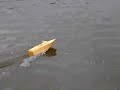 New wooden hull RC boat - 3rd run New wooden hull RC boat - 3rd run