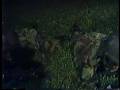 videos de No No we eh goin home by Tambu