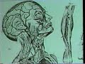 Transition (1994-Redux 2005) M Sneath J Moyes