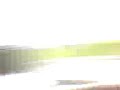 elcoco youh &amp; Irving Driving