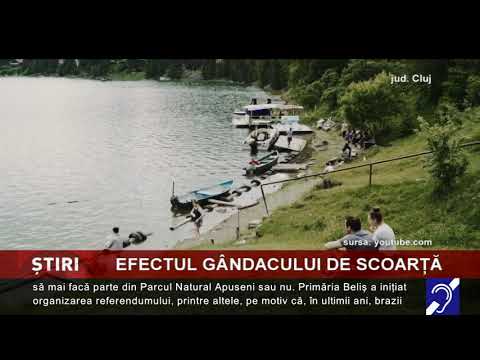 Efectul gândacului de scoarță
