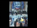 Audio Entertainment Services - Reggae Fest