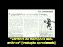 [TED pt_BR] Nathan Myhrvold: Uma vida fascinante (parte 2/2)