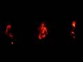 videos de Spider