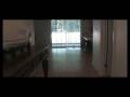 videos de Sober Living Los Angeles - Back 2 Life Kitche Video