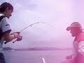 video briga  boa com o peixe