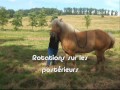 Montage Indienne �thologie