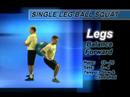 Single Leg Ball Squat Single Leg Ball Squat