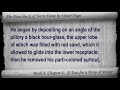 Book 06 - Chapter 4 - The Hunchback of Notre Dame by Victor Hugo