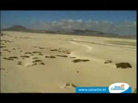 0 Turismo Islas Canarias, promoción turística – video Youtube