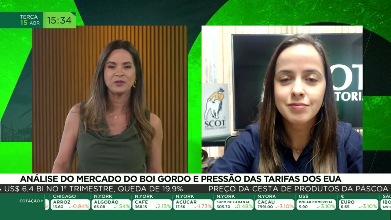 Análise do mercado do boi gordo e pressão das tarifas dos EUA