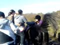 Aimee And Horse = ]
