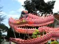 dragon and lion dance
