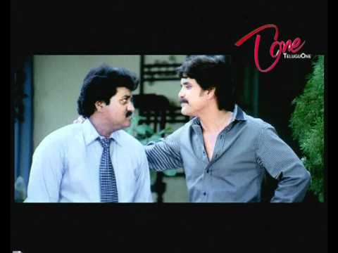 nagarjuna, trisha, srihari, charmi, priyamani, anushka, rohit, ali, sunil, dharmavarapu, devisriprasad, janeliya, srinivas, shiyajishinde, jayaprakashreddy