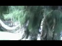 Аргентина, дельта реки Парана