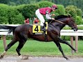 Bernardini tribute Bernardini tribute