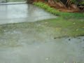 cyclone mick in fiji