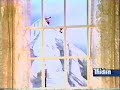 classic sesame street   ernie and placido flamingo