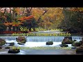 Relu & Dorin Cazacu - Nidecum, nidecum, niciodata