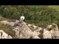 test video sony sr10