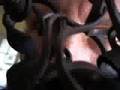  - MovieZen Video