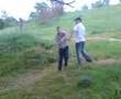 Tree knockout attempts