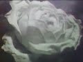 Les Thugs - I love you so