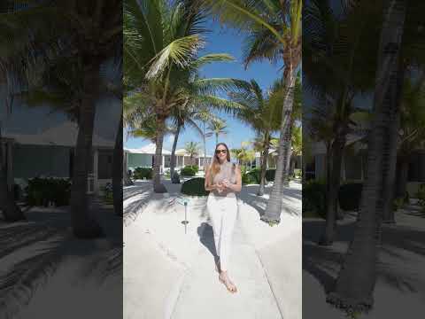 Sealodge Cayman Kai Beachfront Condo Tour | 1-Bedroom Paradise in Grand Cayman, Rum Point