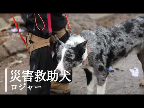 【令和6年能登半島地震】72時間の壁を前に私たちにできる全力を尽くす